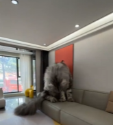 好新颖的视角，好新颖的赛道 ​​​