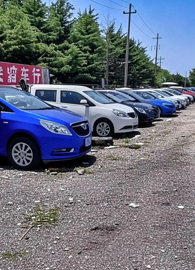 终于明白为什么二手车堆积成山卖不出去的原因了。
有人说是因为零公里二手车导致的，