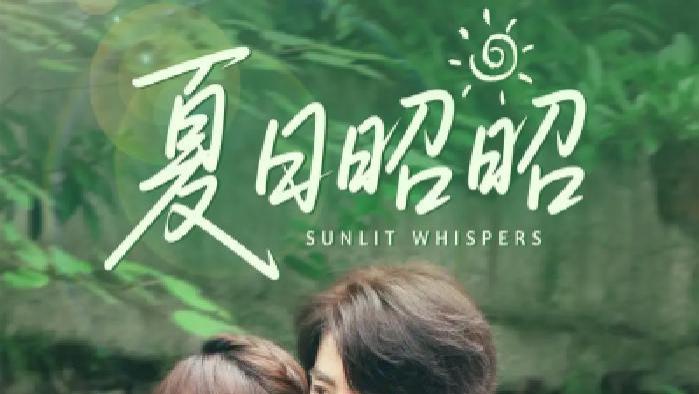 最新短剧《夏日昭昭》完整版免费观看，夏日之下昭昭爱意如何绽放