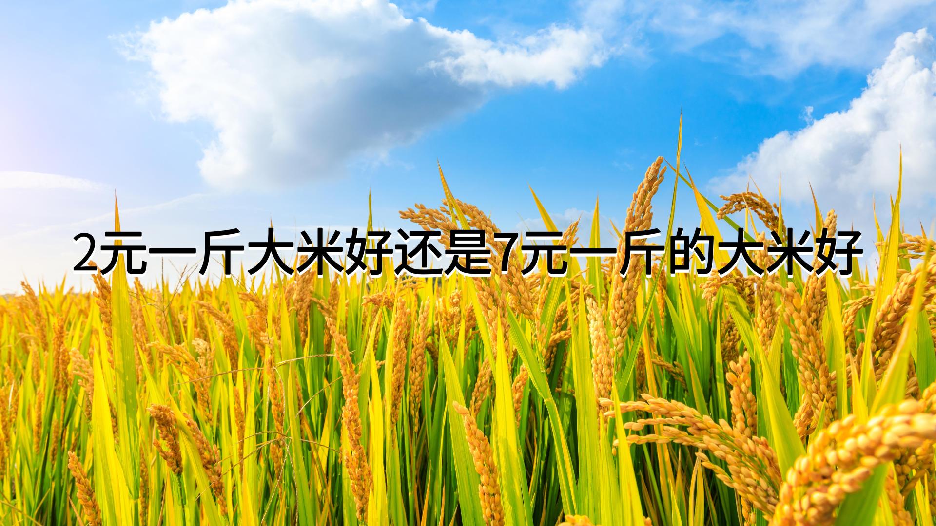 2元一斤大米好还是7元一斤的大米好