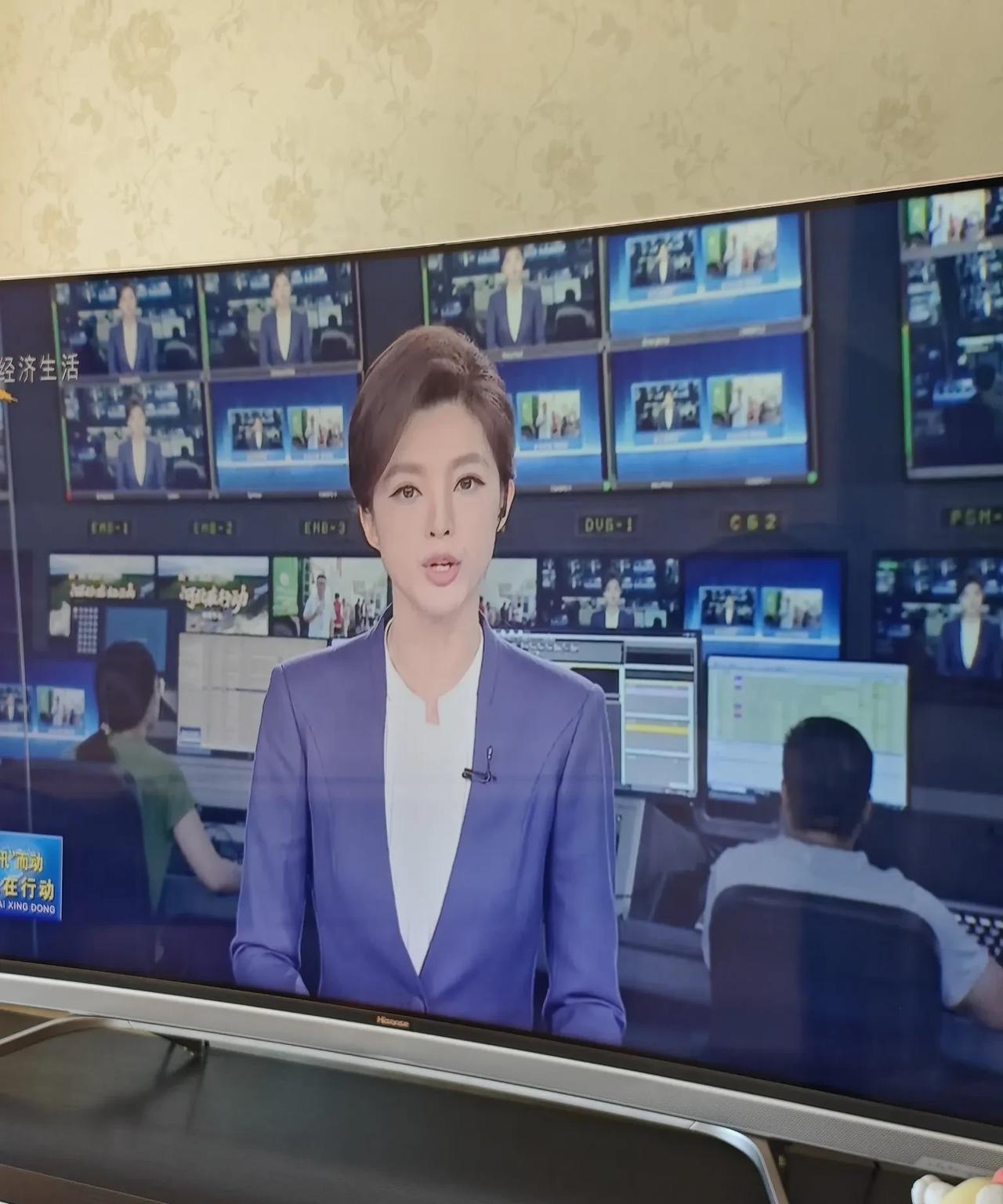 #手机随手拍原创图片#
咱们河北台的女主持人很漂亮啊，一点儿不比中央台的主持人人