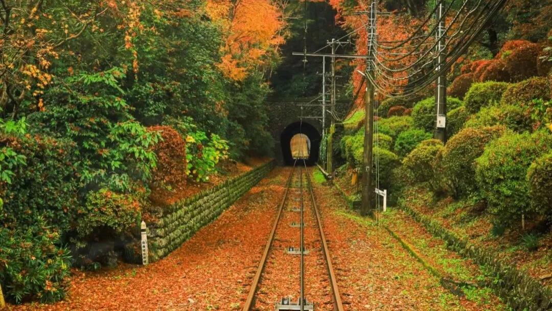 11月中下旬必去！日本红叶追色指南