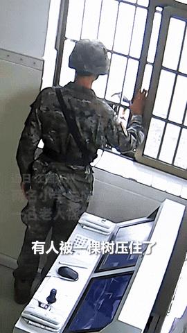 太机智了！江西两名小学生在路上发现老人被大树压住，立即跑向附近的武警执勤点求助，