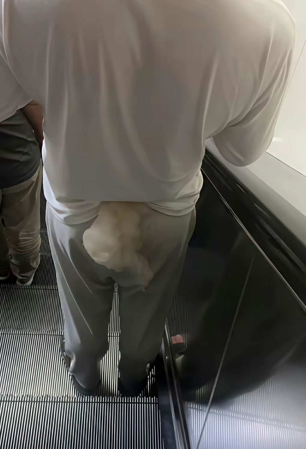 这位大哥，你尾巴露出来了