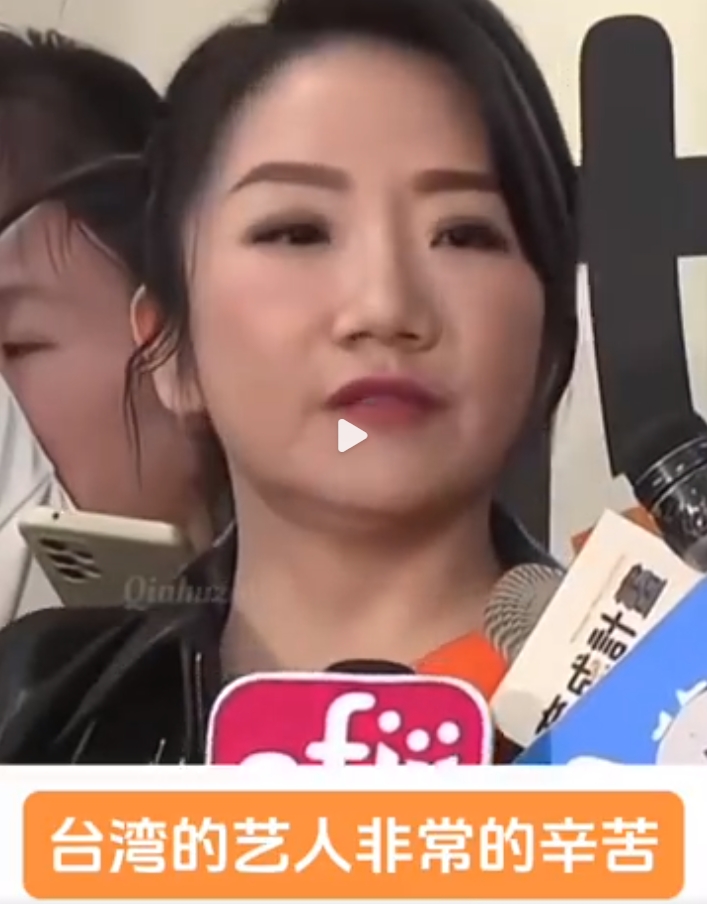 陶晶莹称台湾艺人很不容易，表不表态都被骂！
