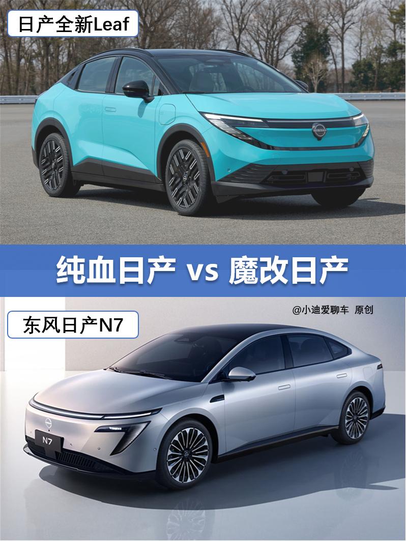 都是日产新能源，纯血版vs魔改版谁更好？
