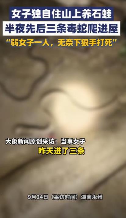 事情的起因是王大姐（化名）为了养石蛙，她就孤身一人选择去山上住，到山上找了一个人