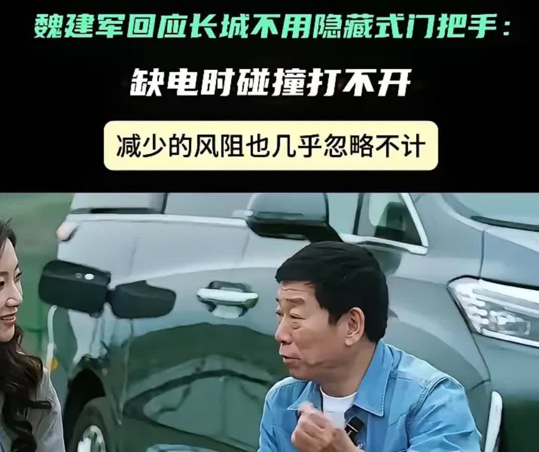 欧拉和蓝山的车把手是什么造型？

长城的隐藏把手设计成机械开合的，隐藏状态按