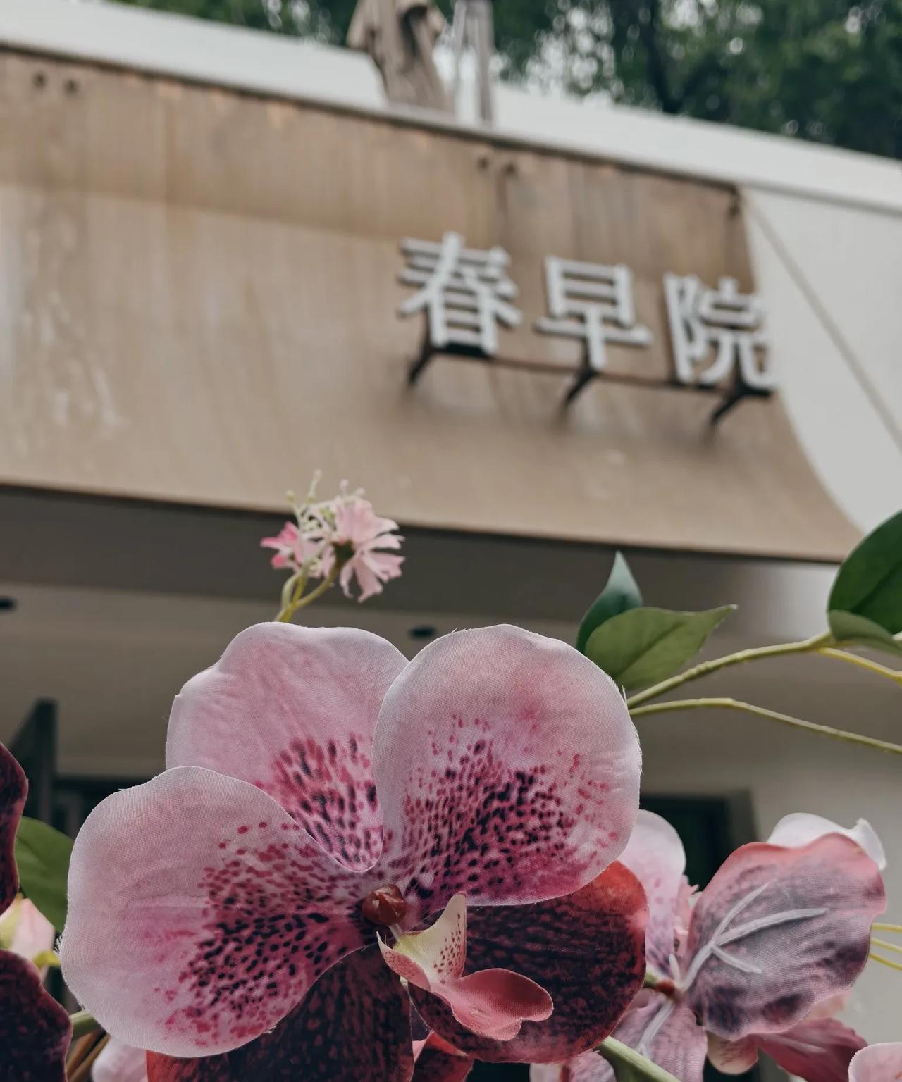 成年人的感情
都是沉淀后的沙丘
越堆越高
不能碰
一碰就散一碰就倒
你要不断的灌