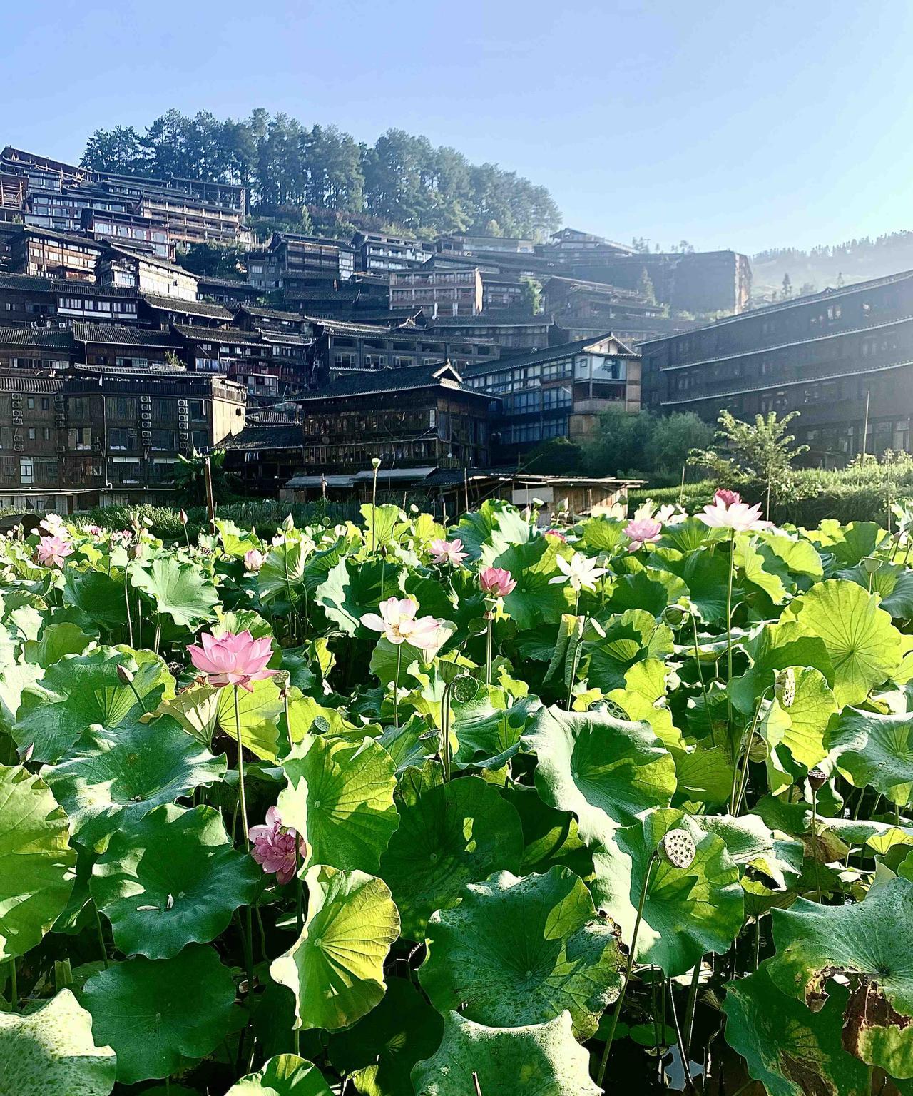 近日广西防城港“奔驰女司机亮证”事件引起全国大讨论。
特别是8月3日防城港市委市