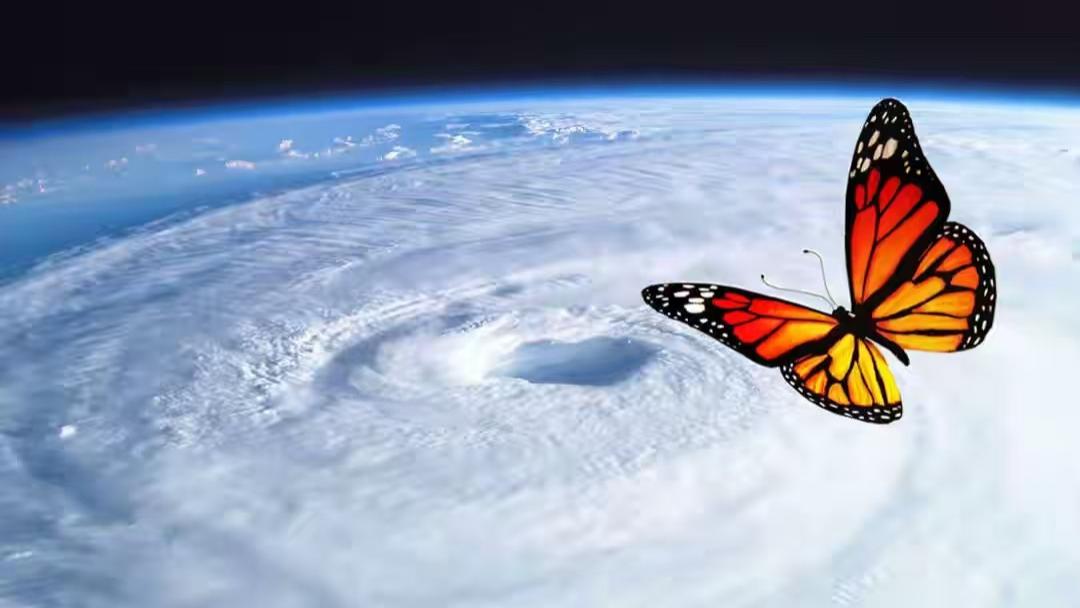 扇动翅膀的蝴蝶：合肥六中近二十五年浮沉录