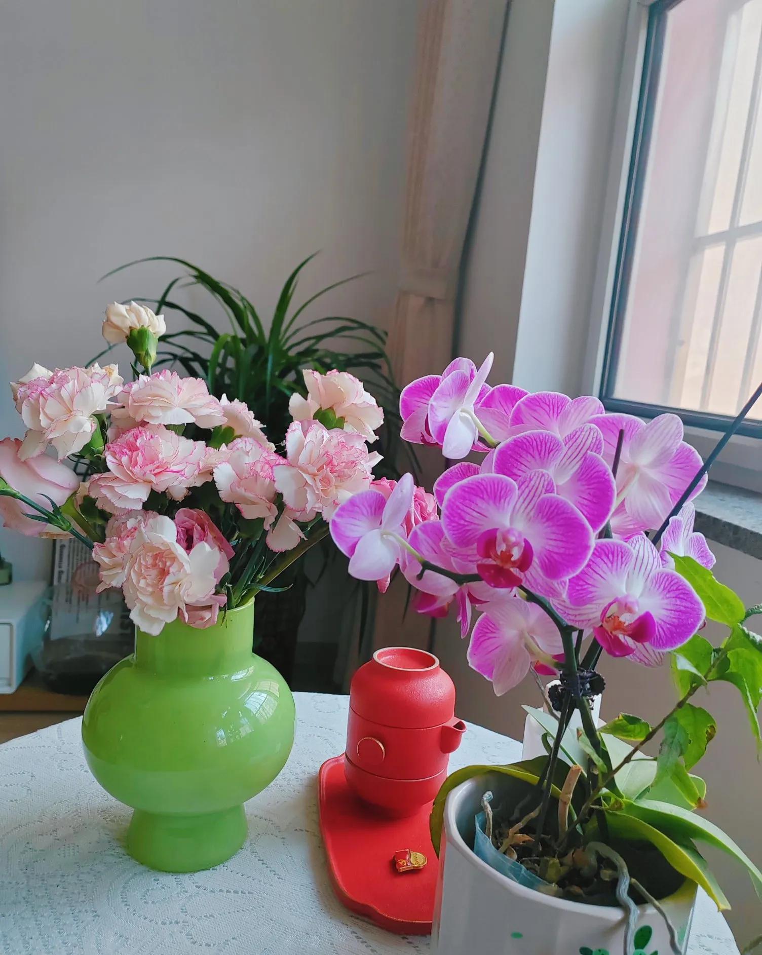 婚姻首选门当户对，无论一婚还是二婚。



我大伯的再婚经历，便是这句老话的最好