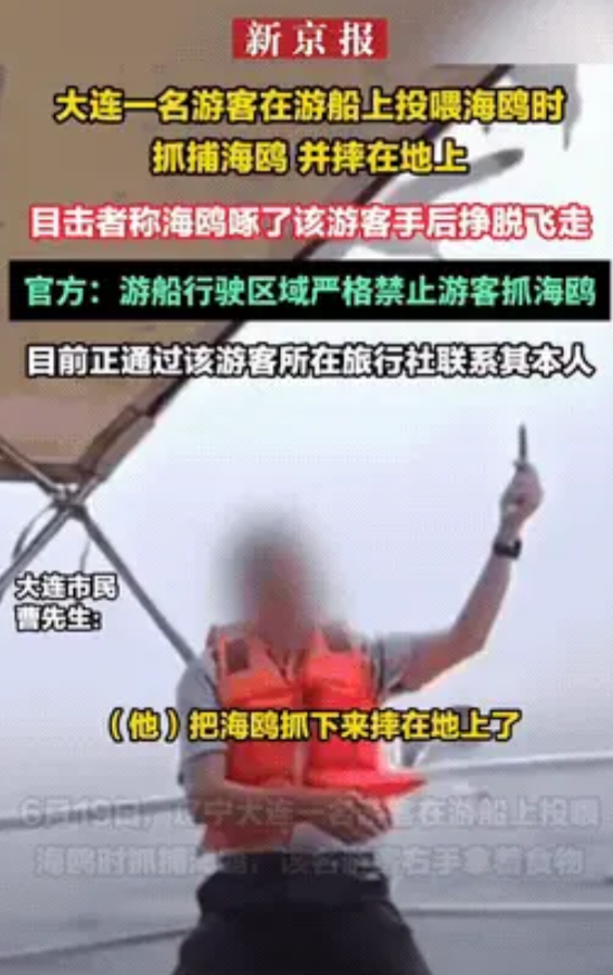 太缺德了！近日，辽宁大连，一群游客乘坐游船看海鸥，其中一男子投喂海鸥时，趁机抓捕