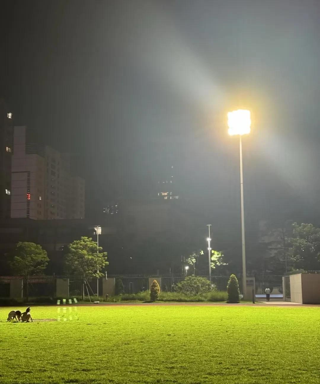 满分作文——《我与我，周旋久》
     成长是场漫长的拉锯战，对手不是别人，恰