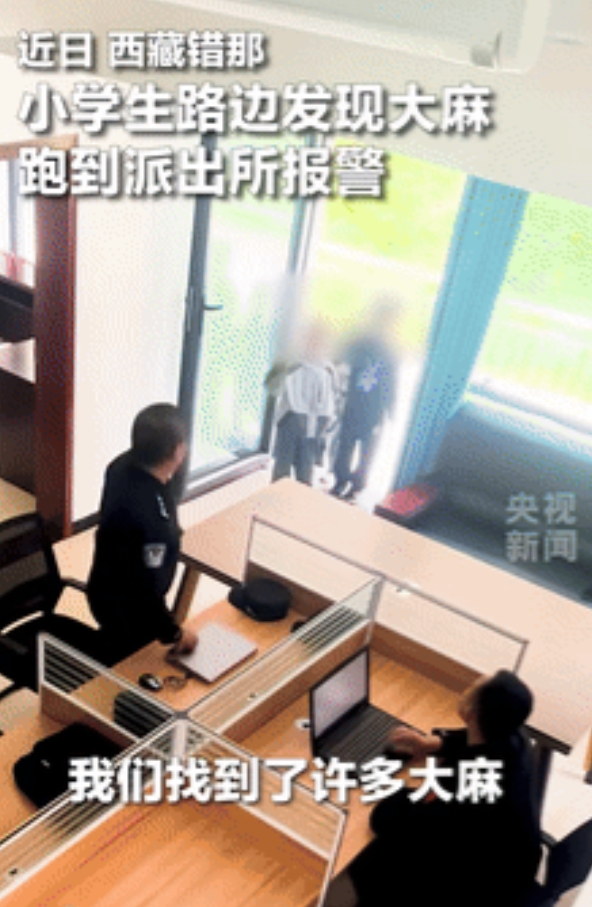 “我还不如小学生！”西藏，男孩路边发现大麻后报警，民警懵了：“你们怎么认识大麻？