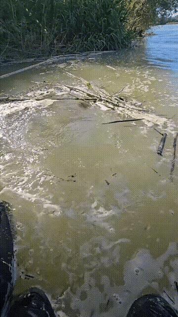这算得上河中巨怪了吧。[赞][赞][赞]
