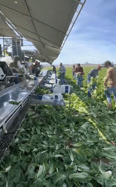 为什么没泡药水？？？