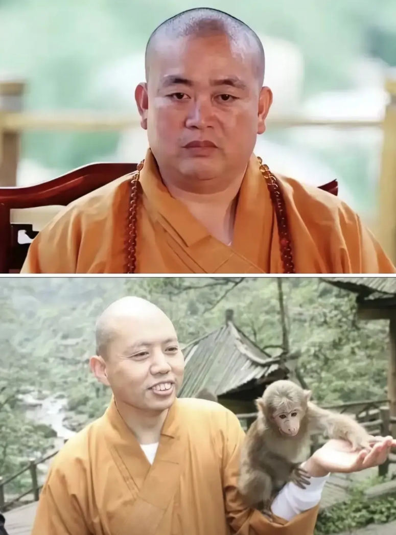 我一直从开始就认为这两位根本就不是僧人，有一个花和尚，满嘴的俗人俗语，甚至还跟人