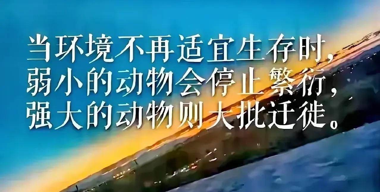 当环境不再适宜生存时，人心惶惶；
弱小的动物会停止繁衍，逼不得已；
强大的动物则