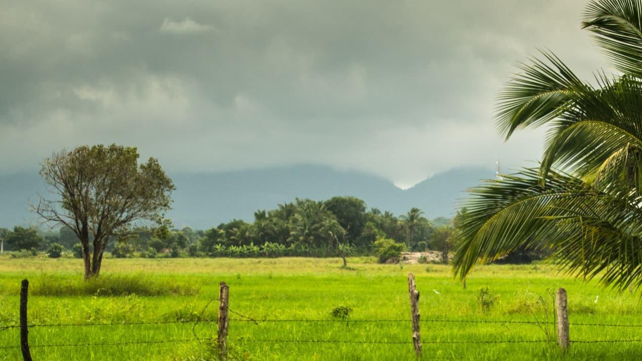 三月配土改良计划，土壤焕新，岭南红壤，小麦根系健壮