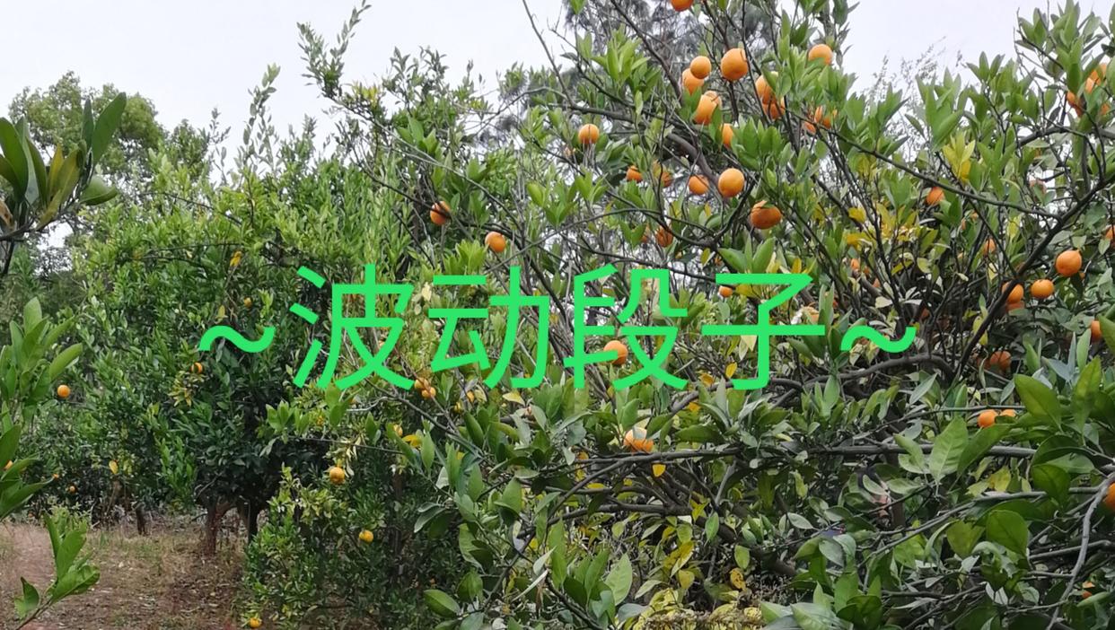 波动段子｜富有哲理的搞笑段子