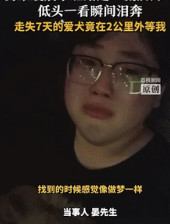 “这就是缘分！”江苏宿迁，一男子凌晨下班被“流浪狗”缠上，低头一看瞬间泪奔，流浪