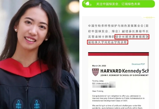 黄杨钿甜的天要亮了，

因为有一个比她更厉害的人出现了，

她不是给自家站台的姚