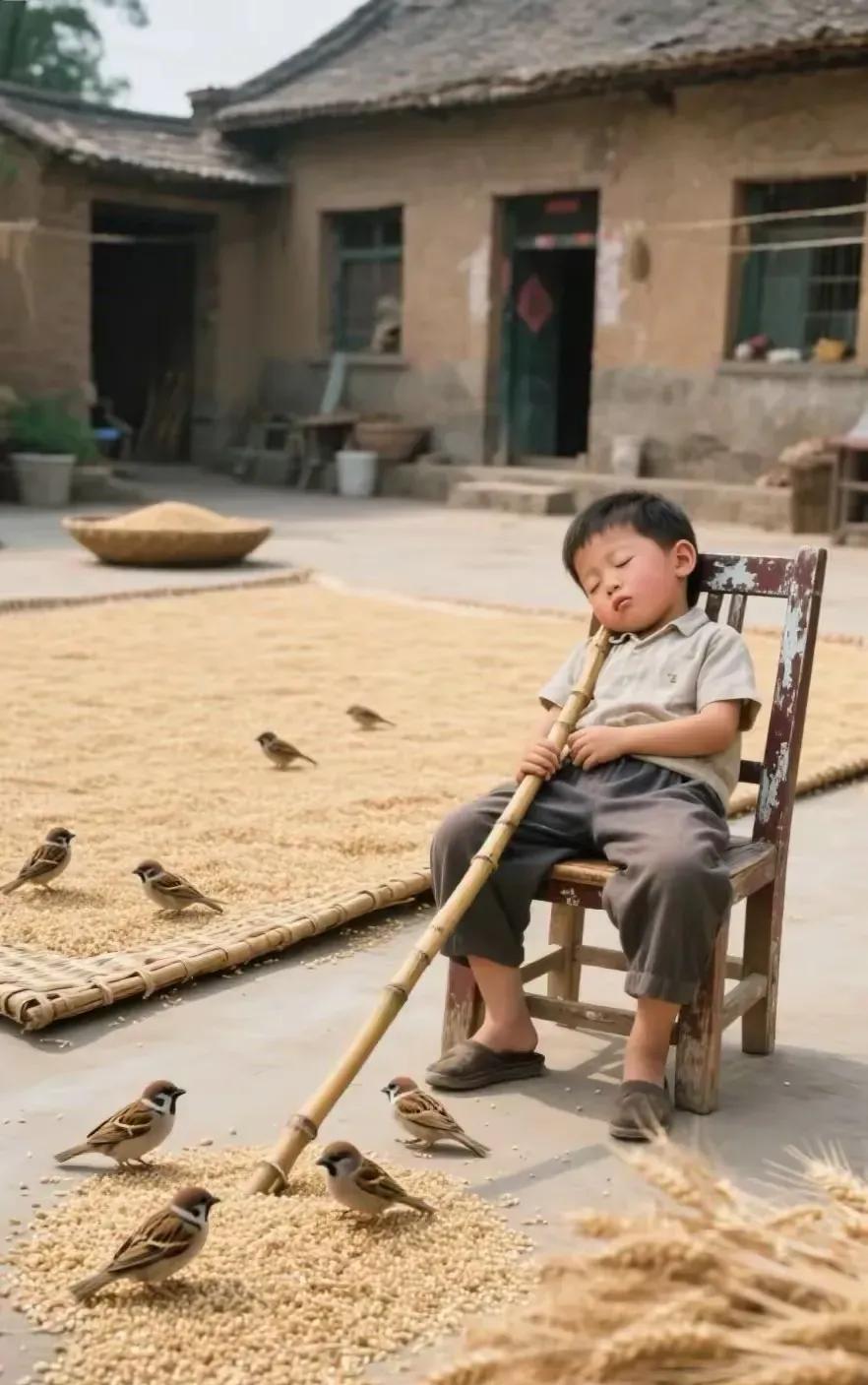 农家院落晒麦子，小儿瞌睡雀儿乐。