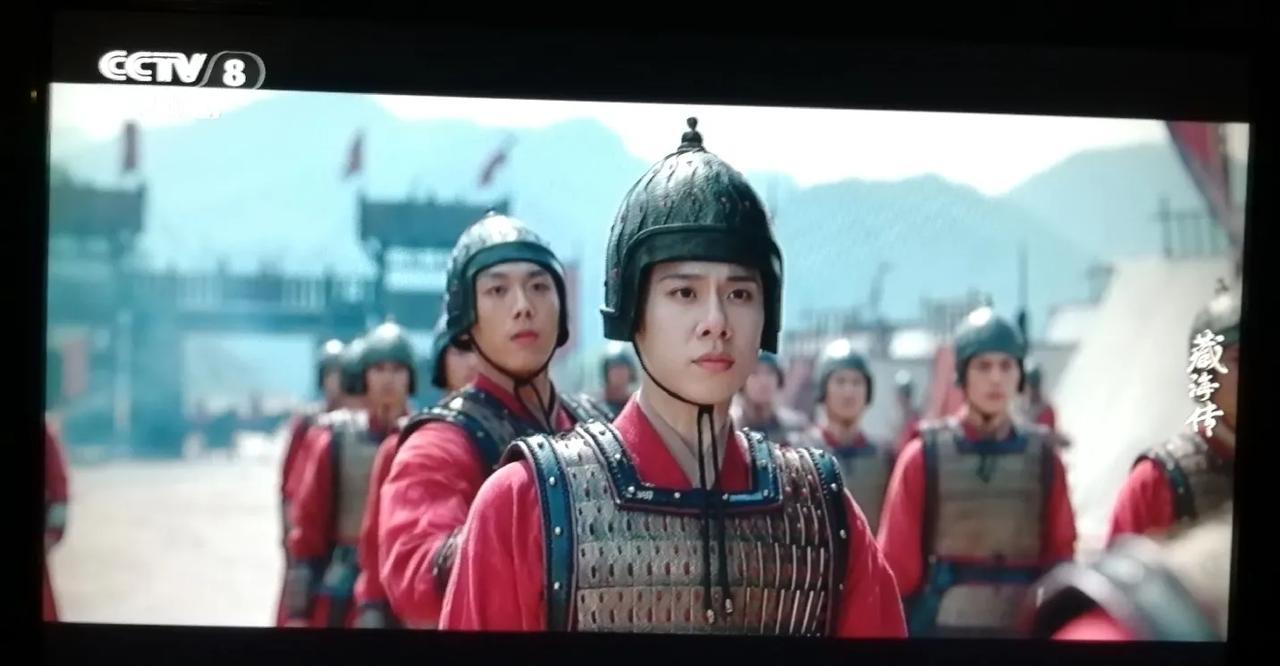 12.《藏海传》。军营里，展鹏欺负庄之行，项洪保护庄之行。是因为大伙儿看不起懦弱