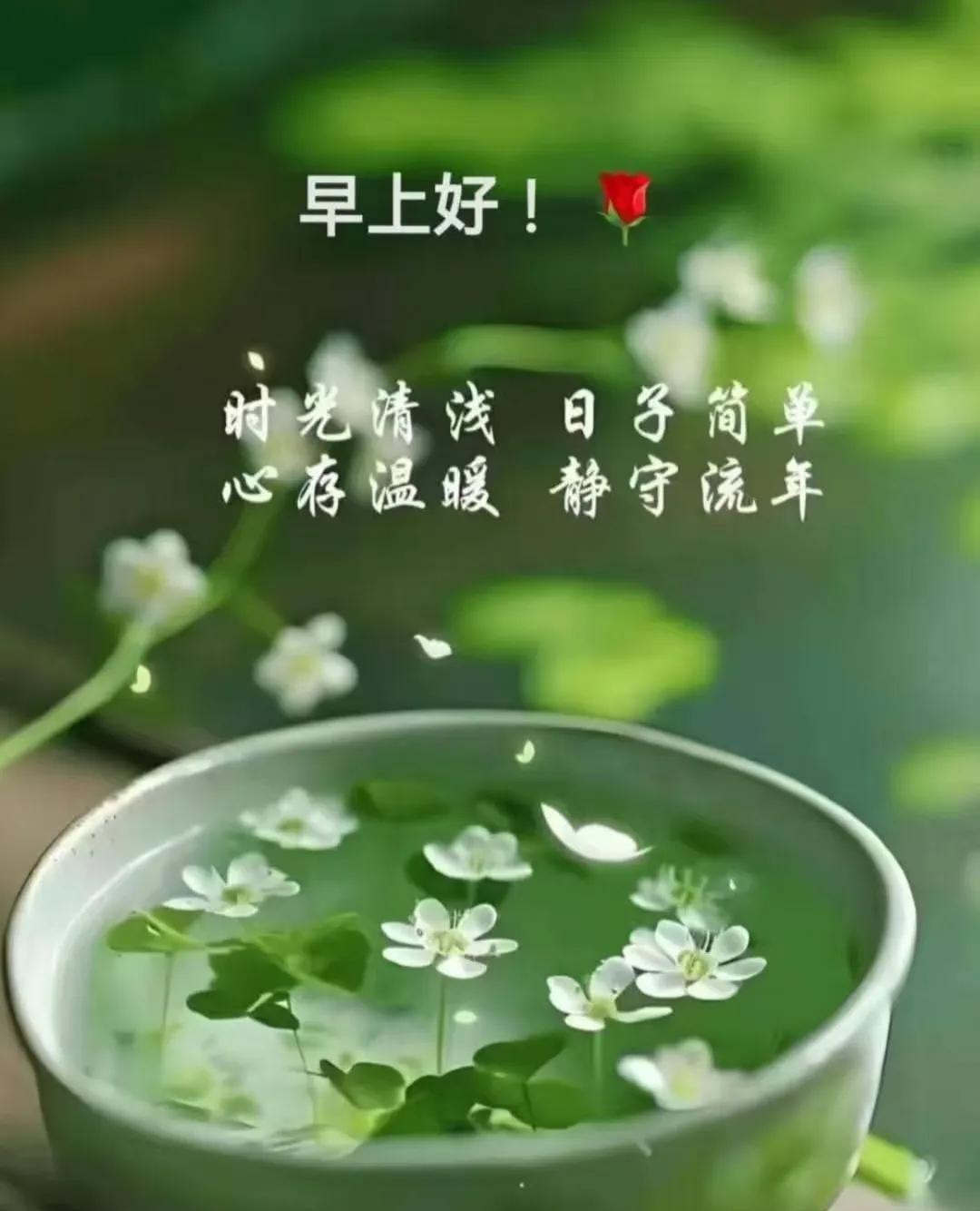 早上好，今天是7月1日星期二。
一组排球方面的综合消息：
①中国男排在世联赛芝加