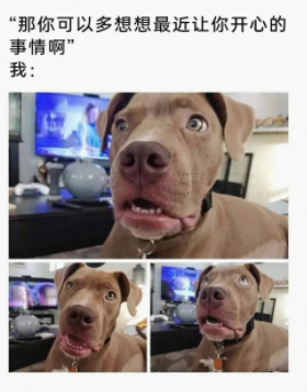 想破了都想不起来啊