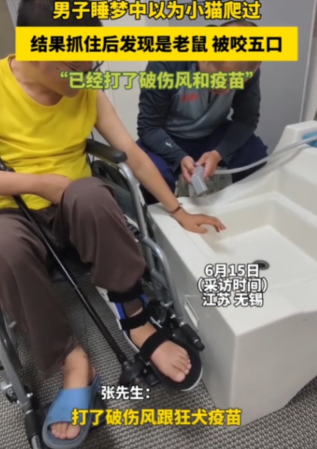 “万万没想到！”江苏无锡，男子睡觉的时候感觉有东西在身上爬，他以为是自己刚养的猫