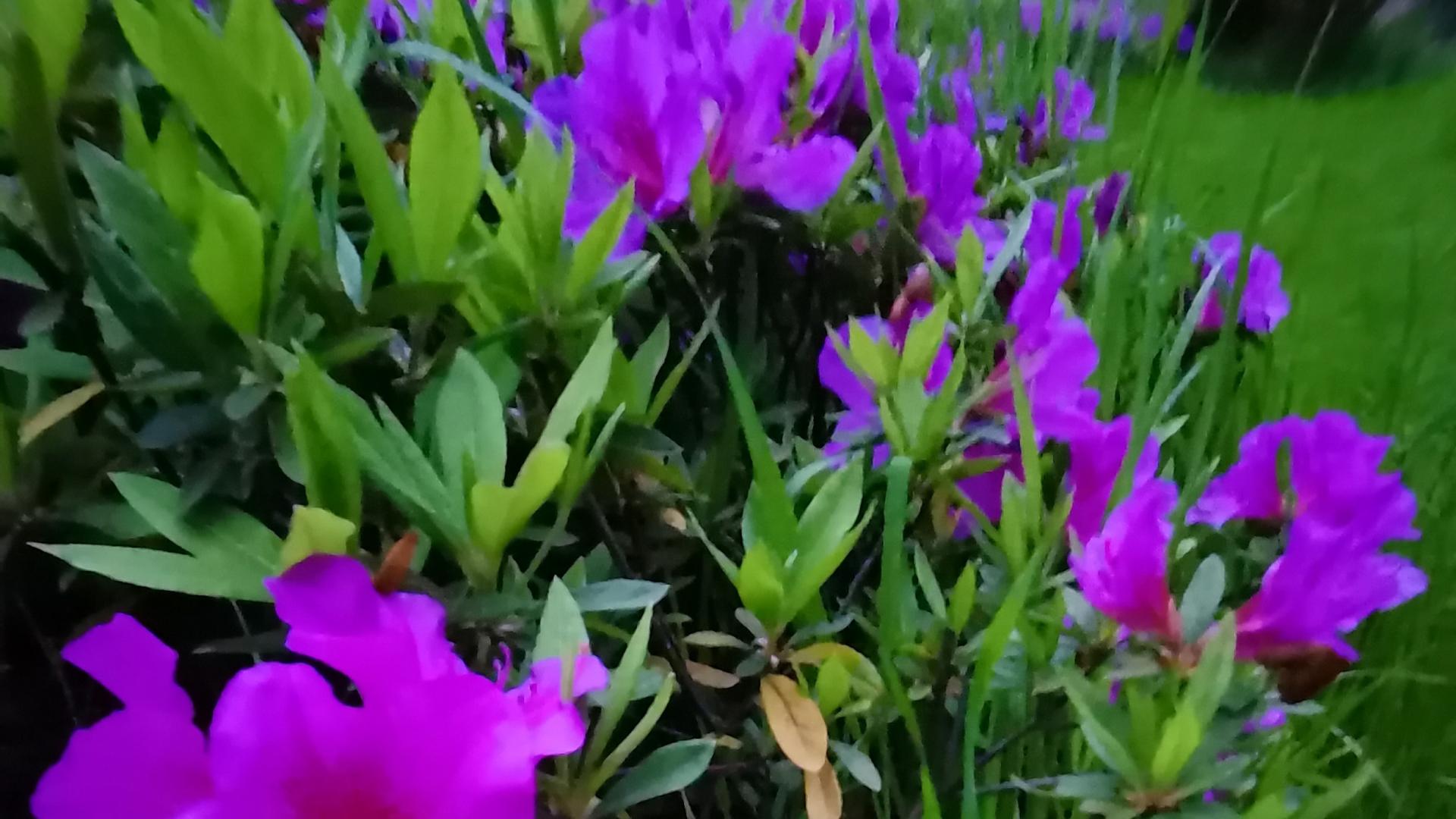 裤带可以松，钱包不能松。