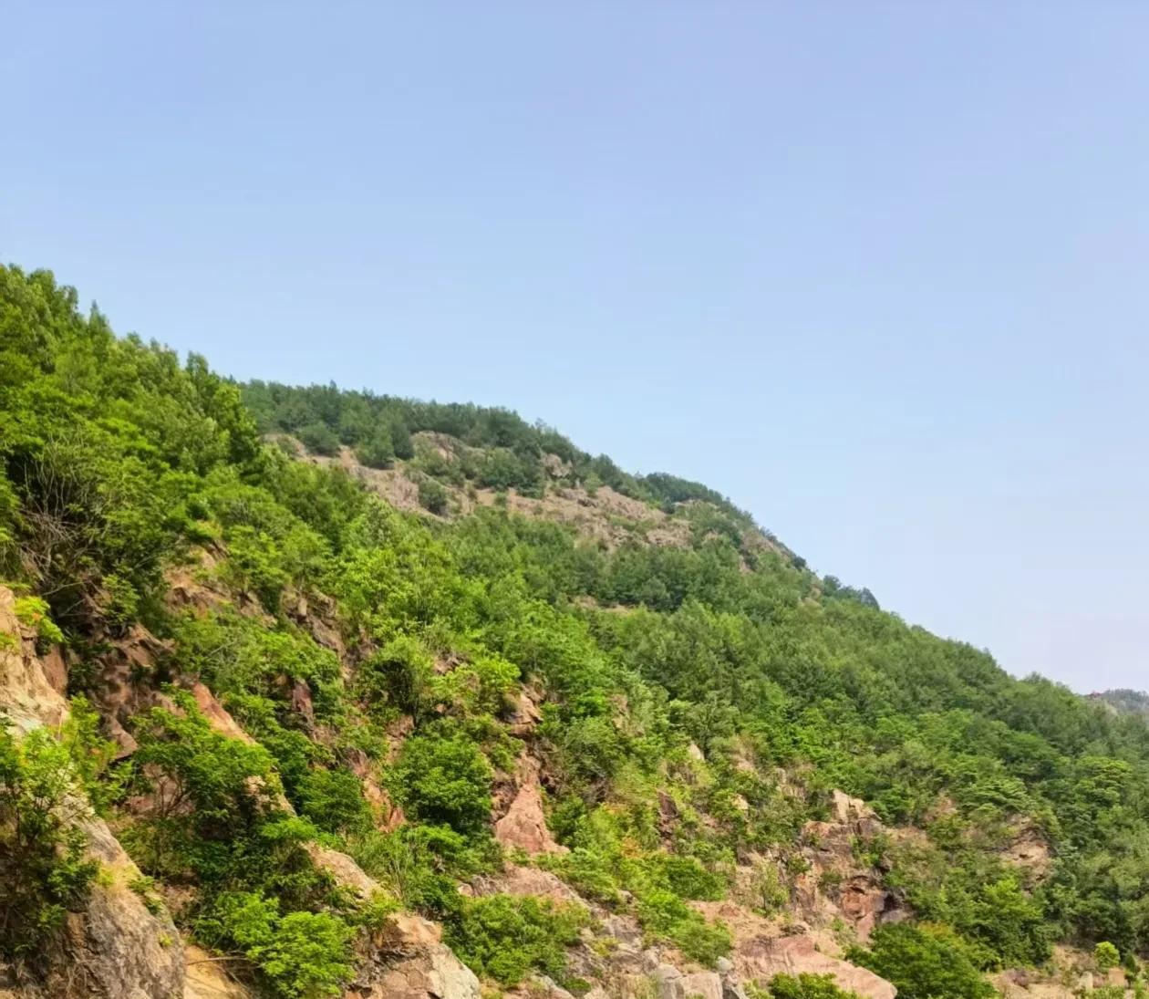 熊孩子下午自己打车到小区门口，打车之前，还打电话问我小区的名字，住了这么久，连小
