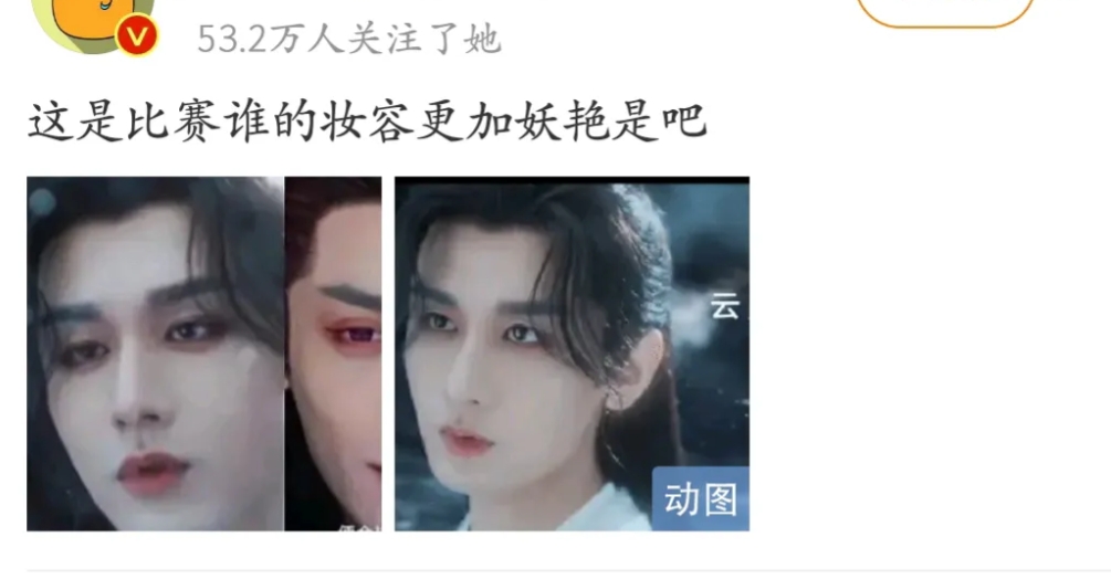 赴山海和水龙吟没播之前，就刷到有不少嘴毒博主吐槽男主。
是罗云熙粉丝和成毅粉丝看