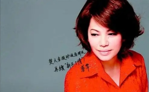 1985年，蔡琴嫁给了大10岁的二婚导演杨德昌，杨德昌提出：只结婚不同床，不让感