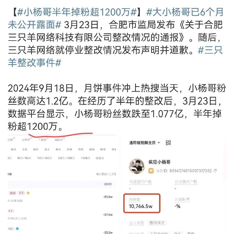 小杨哥要恢复开播了，
半年掉粉1200万，掉出来一个超级大主播，从去年月饼事件发