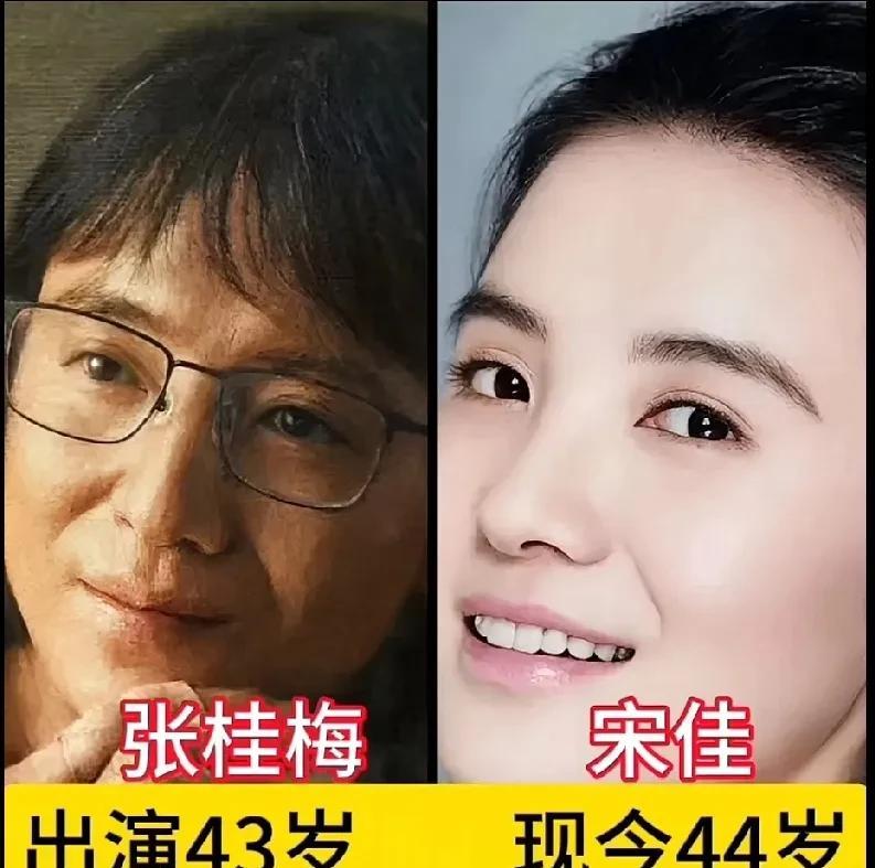 电视剧《山花烂漫时》演员今昔对比
