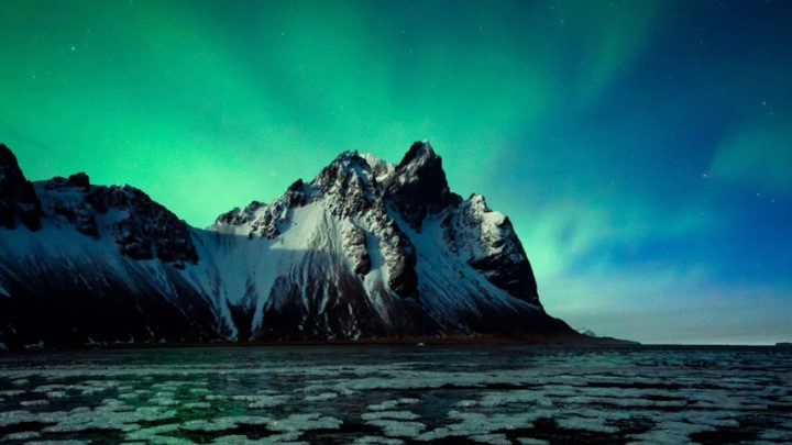 北极路线天花板? ? ? 冰川/温泉/北极熊全收录 朝闻旅行 I 北极熊