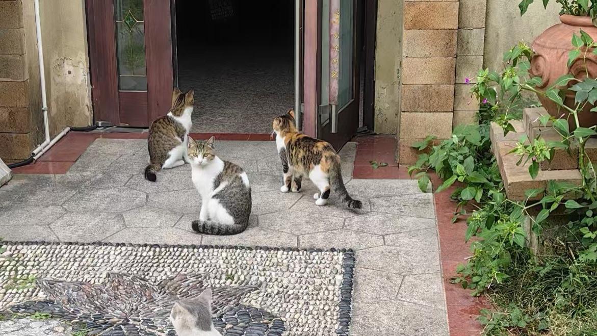 好心也要会办事，不要让你的好心办坏事