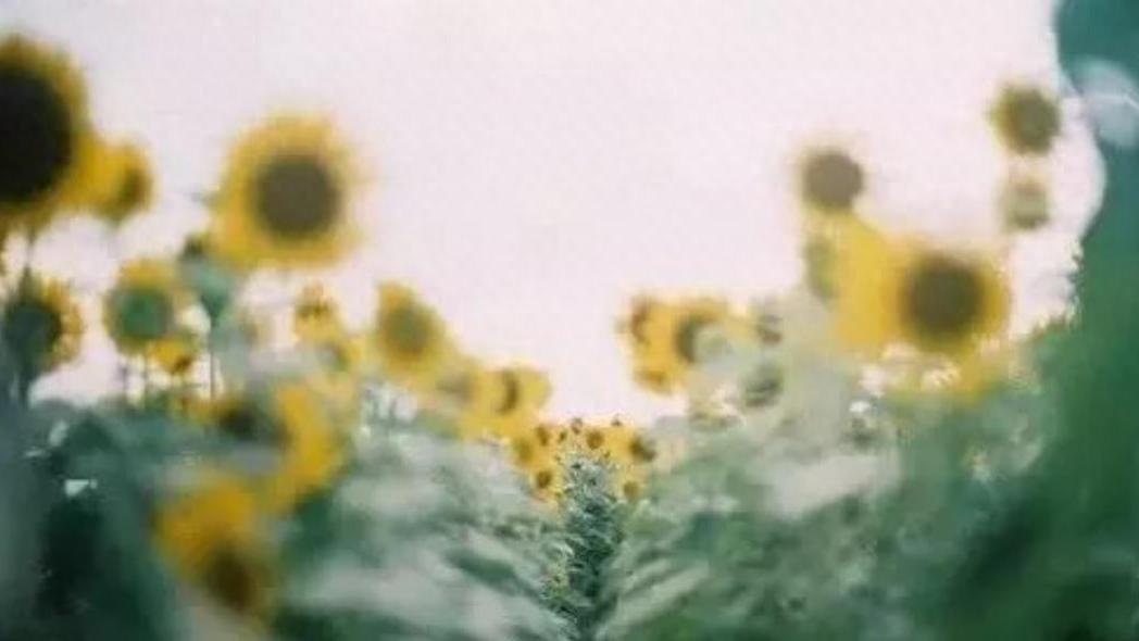 抑郁真正能康复的3个关键：大部分抑郁症患者忽略的预防复发策略