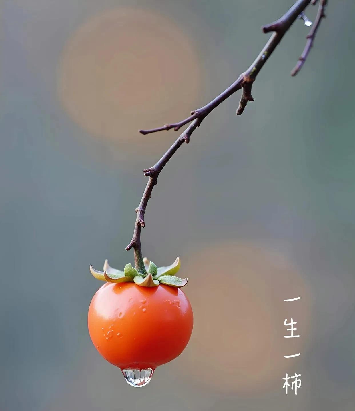 人的命天注定。
我家表姐的儿子，从出生起名字时，人家批八字的就说，这孩子将来有出