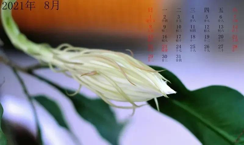 我们一帮子朋友，经常没事吃吃饭，喝点小酒的那种，不涉及经济利益，但是现在逐渐演变