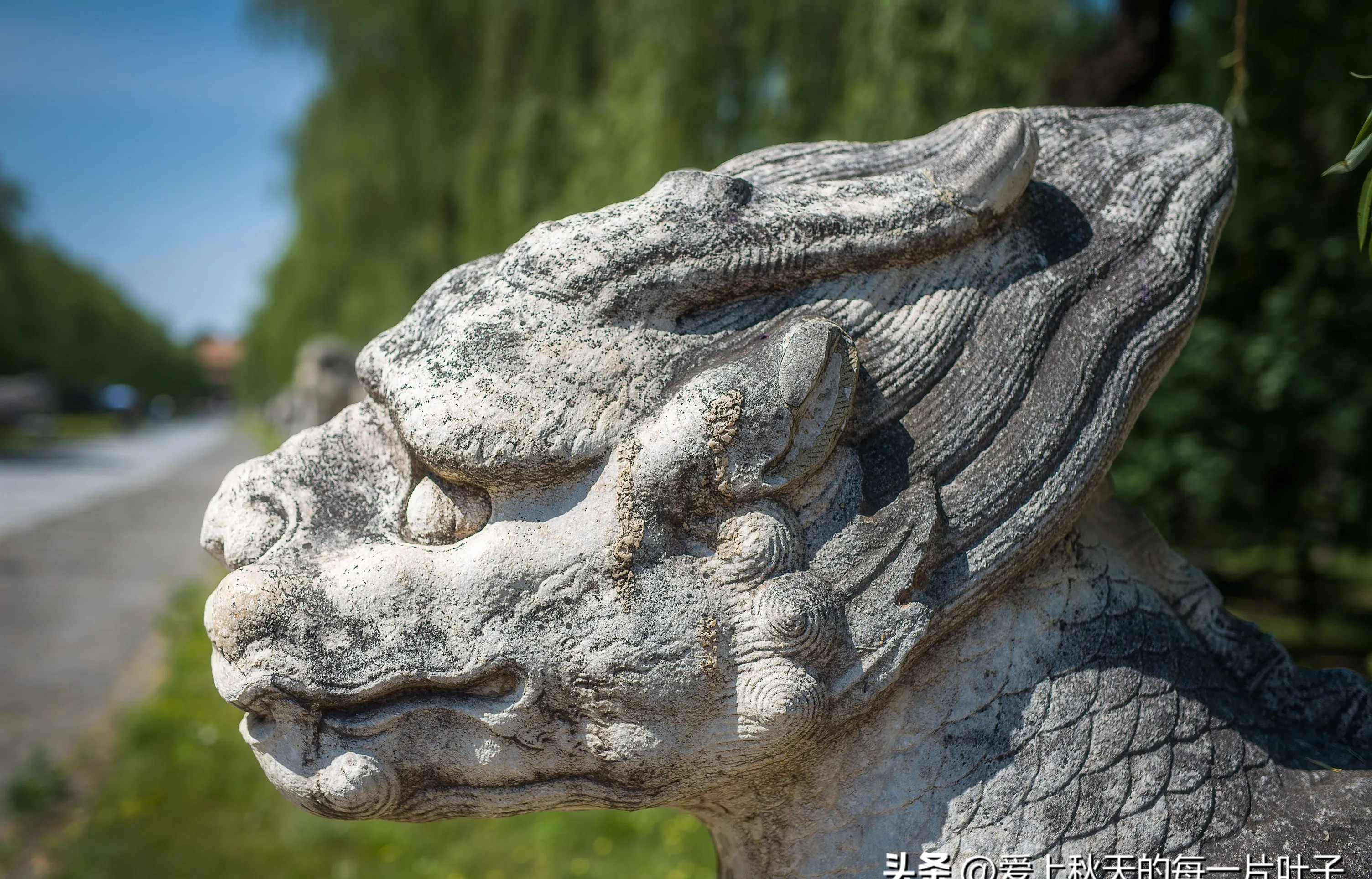 我发现有些网友真逗











---











有些网友