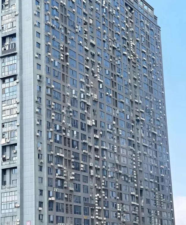 和老公出去旅游，看到这密密麻麻的把我吓一跳！还为是藤壶呢？