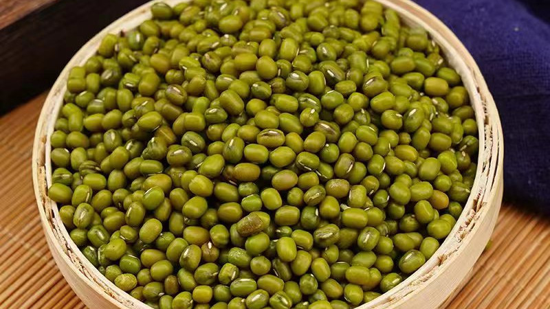 地域农产新坐标：兴县大明绿豆的农耕传承与技术革新