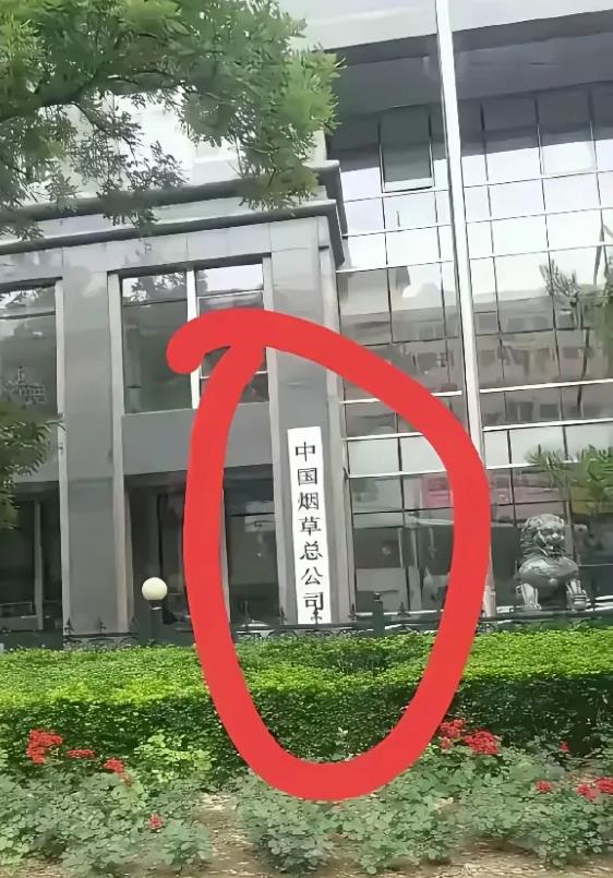 请问读什么大学才有机会进这家公司工作？