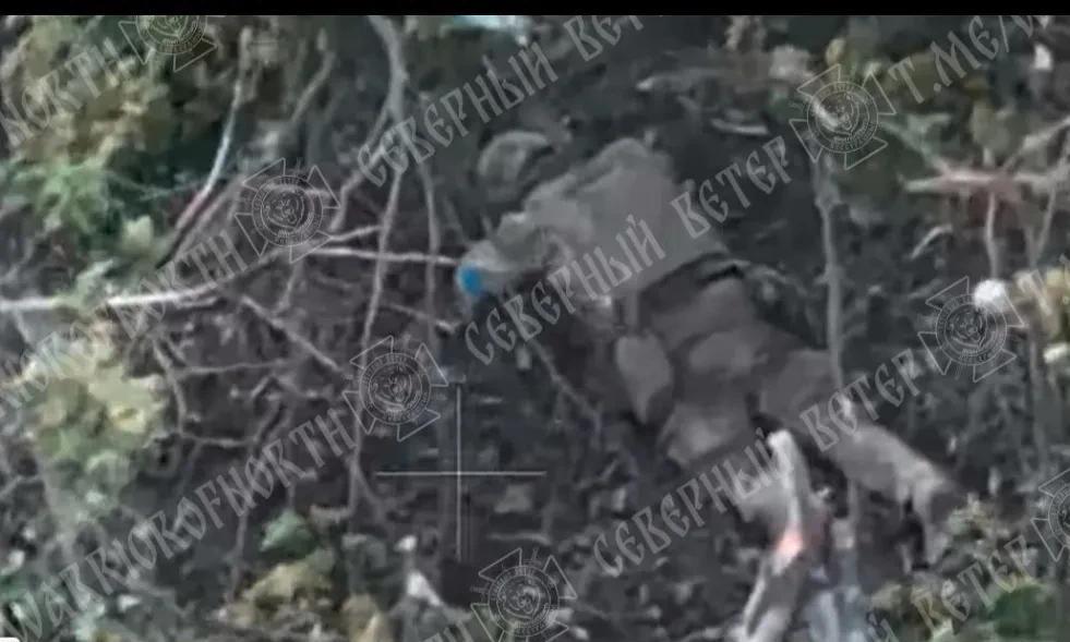 乌克兰青壮年男性死亡人数离一百万越来越远，正在向200万大关逼近………
这里是苏
