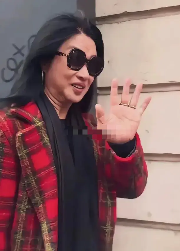 金星在被国内所有城市封演并遭到拒绝后，便转战去了法国巴黎定居。才短短半年时间，不