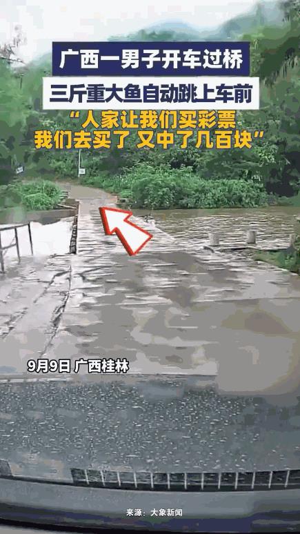 “财运挡都挡不住！”广西桂林，一男子开车过桥，突然，一条3斤重的大鱼从河里跳上桥